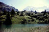 beautiful scenery on Alp Flix