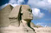 close up of the Sphinx